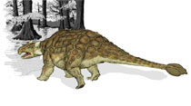 Learn about the Ankylosaurus