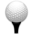 Tiger Woods PGA Tour 10 Nintendo Wii Video