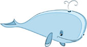 Interesting facts about whales
