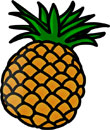 Fun Pineapple Facts for Kids - Interesting Information about Pineapples