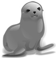 Interesting facts about Seals