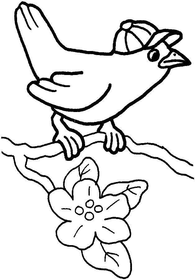 This coloring page for kids features a cute bird standing on a twig. The bird is wearing a tiny hat, possibly for sun protection.