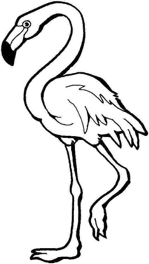 This coloring page for kids features a flamingo standing on one leg. The flamingo has a long neck as well as long, skinny legs.