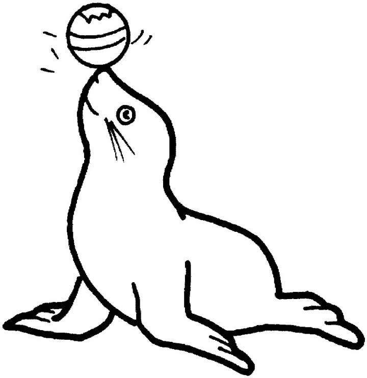 This coloring page for kids features a seal balancing a ball on its nose.