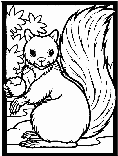 This coloring page for kids features a squirrel with a big, bushy tail. A black border surrounds the outside of the picture.