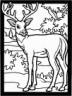 Animal Coloring Pages for Kids - Printable Pictures, Free Activity Sheets