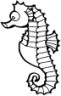seahorse coloring page for kids