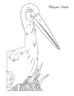 stork coloring page for kids