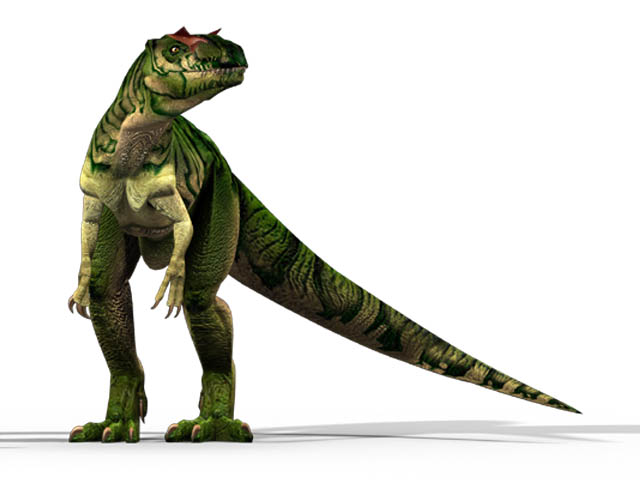 This CGI drawing shows the possible appearance of Allosaurus, a dinosaur from the late Jurassic Period (around 150 million years ago). First described back in 1877, Allosaurus become one of the first well known dinosaurs. It was a carnivore (meat eater) and weighed around 2.3 tons.