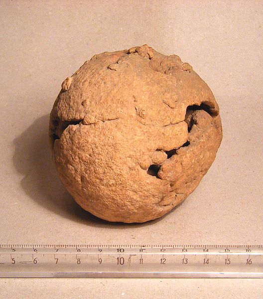 This picture shows a fossilized dinosaur egg. Just below the dinosaur egg is a ruler to help get an idea of its size. Dinosaur eggs have been found at over 200 different sites around the world.
