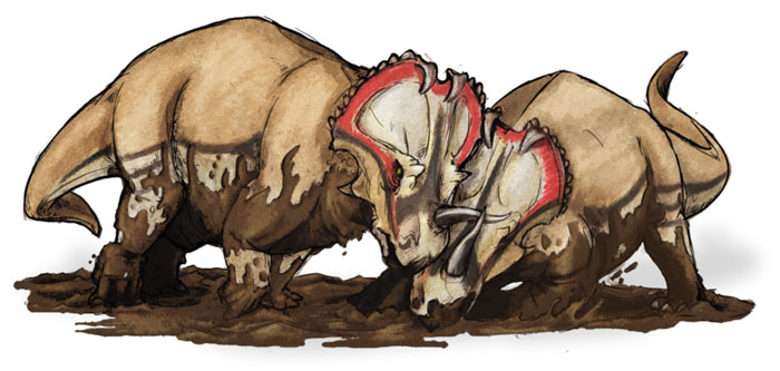 This drawing shows the possible appearance of Centrosaurus, a stocky dinosaur from the late Cretaceous Period (around 76 million years ago). The name Centrosaurus means 'pointed lizard' and refers to the small points found along the frill of the dinosaur. Remains of the Centrosaurus have been found in Alberta, Canada.