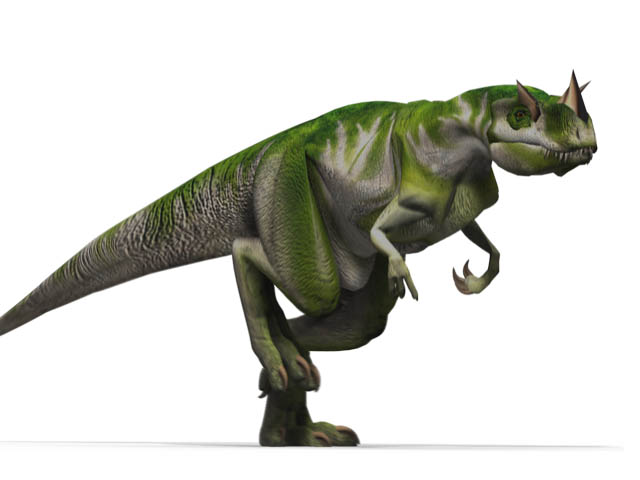 This CGI drawing shows the possible appearance of Ceratosaurus, a dinosaur from the late Jurassic Period (around 150 million years ago). Ceratosaurus was a large, predatory dinosaur that featured sharp teeth and a large jaw. It was a classic Theropod that reached around 5 metres (17 feet) in length.