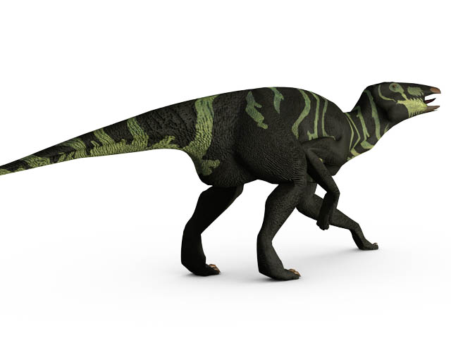 This CGI drawing shows the possible appearance of Edmontosaurus, a crestless, duck-billed dinosaur from the late Cretaceous Period (around 70 million years ago). Edmontosaurus reached up to 13 metres (43 feet) in length and weighed around 4 tons. The first Edmontosaurus fossils were found in Alberta, Canada in 1917.