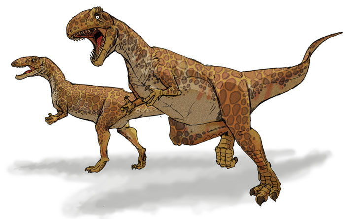 This drawing shows the possible appearance of Megalosaurus, a dinosaur from the middle Jurassic Period (around 166 million years ago). Megalosaurus was a large Theropod and the first dinosaur to be formally named by the scientific community in 1824. It was a carnivore (meat eater) and reached around 9 metres (30 feet) in length.
