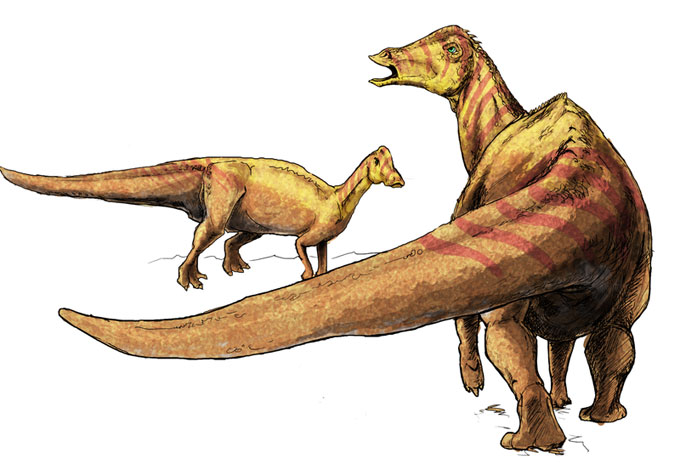 This drawing shows the possible appearance of Nipponosaurus (meaning 'Japanese lizard'), a dinosaur from the late Cretaceous Period. Fossils of the Nipponsaurus were first found in Japan in 1934.