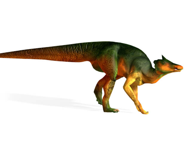 This CGI drawing shows the possible appearance of Saurolophus, a dinosaur from the late Cretaceous Period (around 69 million years ago). It featured a spike shaped crest which pointed backwards from its skull and is from the same family of dinosaurs as Parasaurolophus. Fossil remains of Saurolophus have been found on more than one continent (North America and Asia).