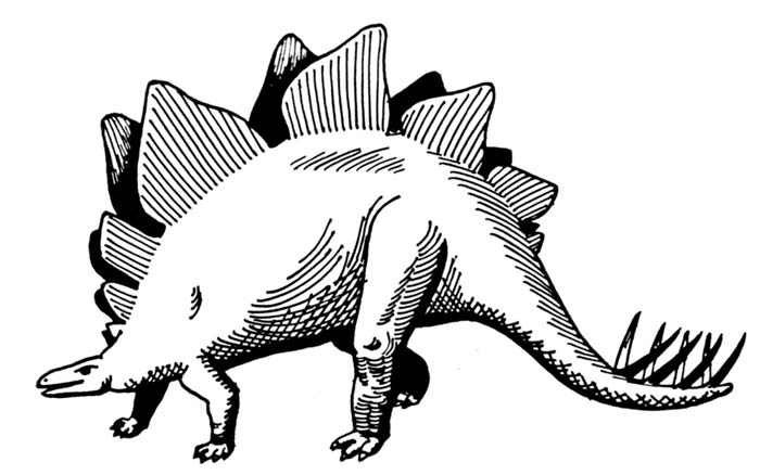 This picture shows a simple black and white Stegosaurus drawing. Stegosaurus was a heavily built dinosaur from the late Jurassic period (around 150 million years ago).