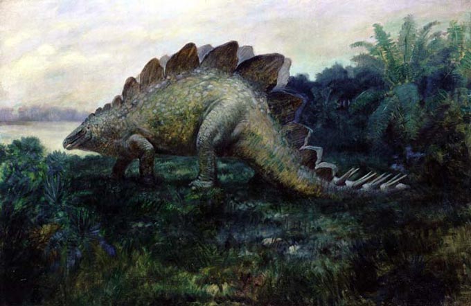A Stegosaurus drawing by Charles Knight from 1912. Stegosaurus is a well known dinosaur from a group of dinosaurs known as Stegosauria.