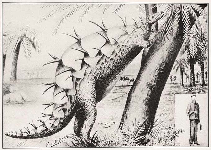 This picture shows an early Stegosaurus drawing. This early restoration of the Stegosaurus showed plates lying flat along the back. Researchers have since changed their views on the appearance of the Stegosaurus.