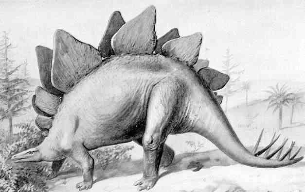 This picture is an old sketch of a dinosaur called Stegosaurus. Stegosaurus was a Stegosaurian dinosaur from the late Jurassic Period.