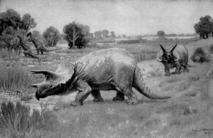 This picture shows a Triceratops illustration drawn in 1904 by Charles Knight. Two Triceratops can be seen in the foreground while two more dinosaurs can be seen feeding on plants in the background.