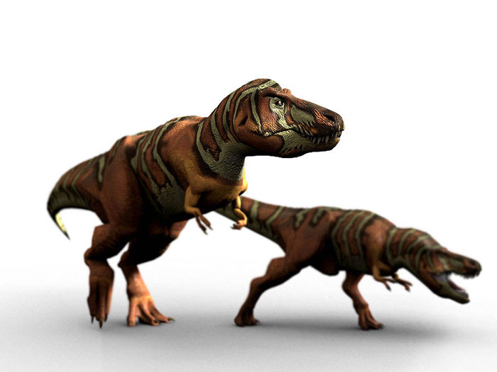 This CGI picture shows the possible appearance of two Tyrannosaurus rex dinosaurs as they hunt for prey.