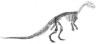 Thescelosaurus skeleton picture