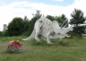 Triceratops Sculpture