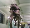 Scary T-Rex Skeleton