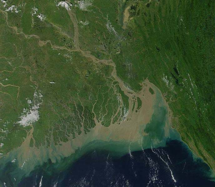 This NASA satellite image shows the Ganges River Delta. The Ganges River flows through India and Bangladesh.
