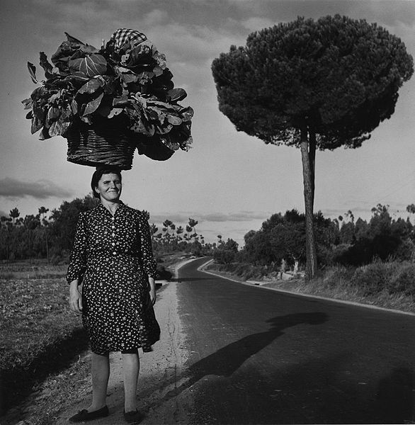This depth perception illusion makes the load the woman is carrying on her head appear as large as the small tree in the background when in fact it is not.