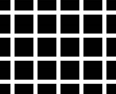 Dark spots seem to appear at the intersections in this example of the Hermann grid illusion. This effect is often explained by a neural process called lateral inhibition.