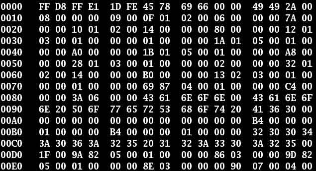This image shows a section of the bytes included in a binary image file.