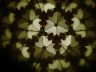 Make a Kaleidoscope