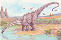 Learn interesting information about the Apatosaurus (Brontosaurus)