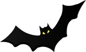 Interesting Information about Bats