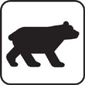 Funny tips for surviving a bear attack