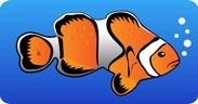 Great Barrier Reef Facts for Kids - Pictures & Information