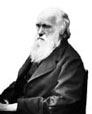 Interesting facts about Charles Darwin