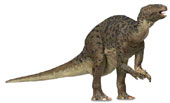 Iguanodon Facts for Kids