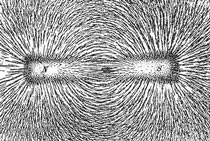 Magnetic field represented by iron filings