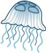 Interesting Information about Jellyfish
