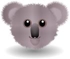 Interesting Information about Koalas