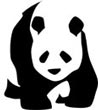 Interesting Information about Pandas