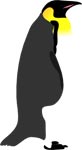 Interesting Information about Emperor Penguins, King Penguins, Chinstrap Penguins & More!