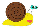 Snail Activity