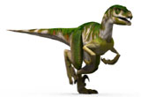 Learn about different types of dinosaurs
