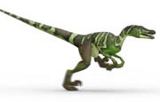 Learn interesting information about the Velociraptor