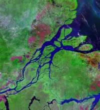 Mouth of the Amazon River
