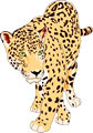 Interesting facts about Jaguars
